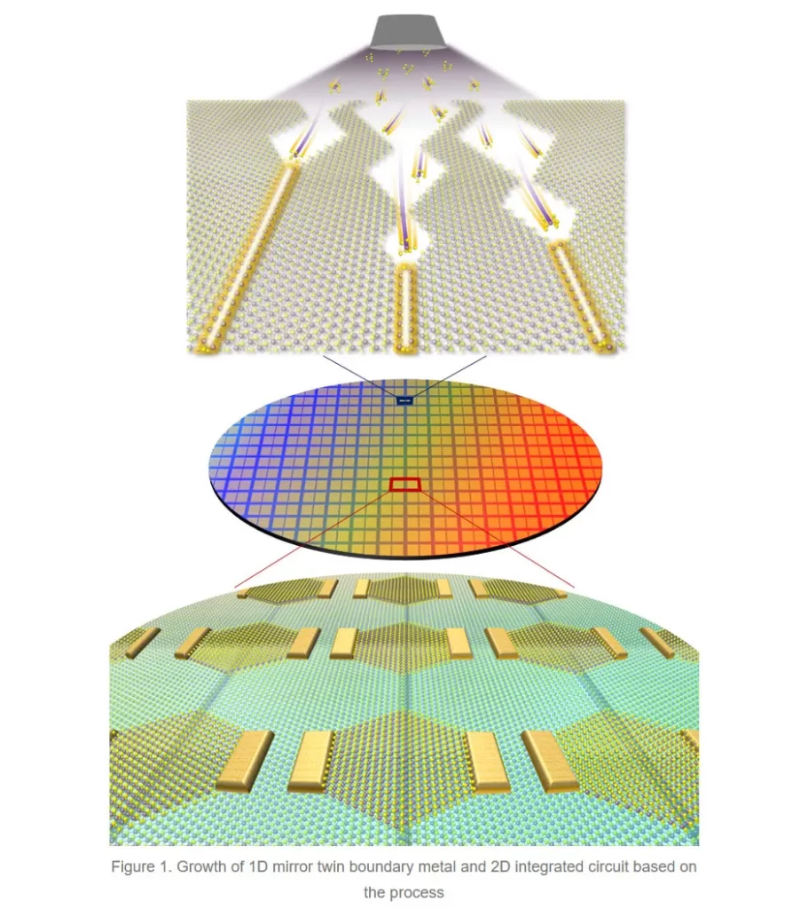 Novos Transistores de 1D MTB Superam as Expectativas da IEEE para 2037